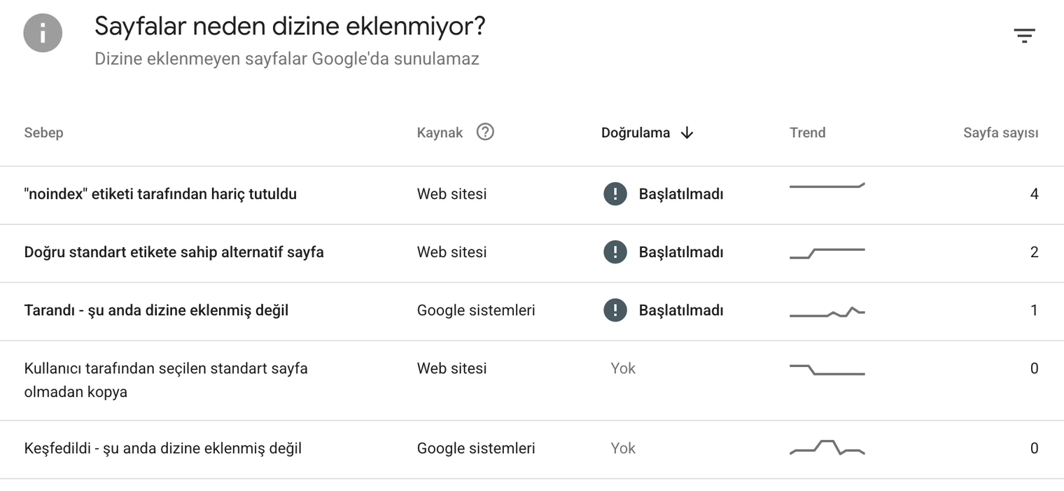Search Console Sayfalar raporu